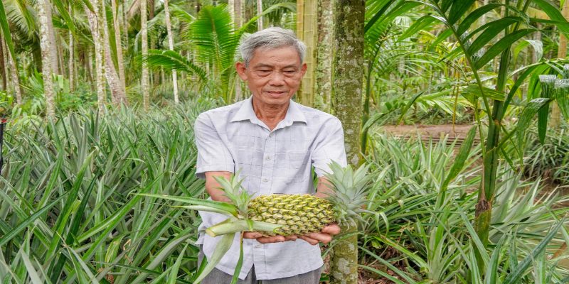 top tỷ phú nông dân