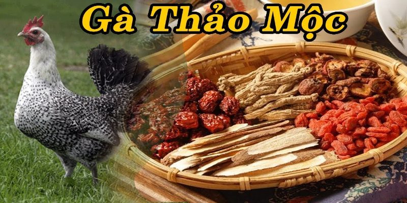 top tỷ phú nông dân