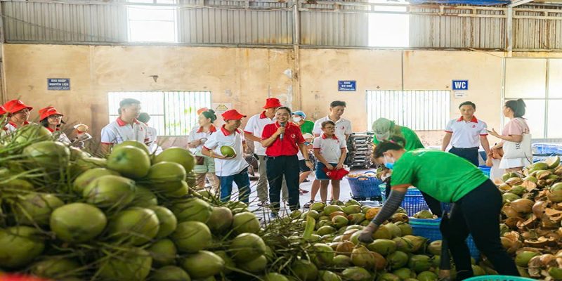 dừa tươi Việt Nam nhập khẩu